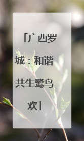广西罗城：和谐共生鹭鸟欢